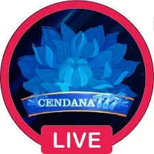 cendana777 App APK Terbaru dan 567luck: Rangkuman Brand yang Banyak Dicari